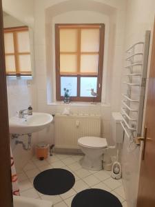 a bathroom with a sink and a toilet and a window at Kleiner-Muldenblick in Leisnig