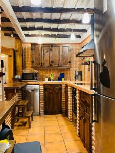 レオンにあるCasa De Pueblo Ruralのキッチン(木製キャビネット、ステンレス製の電化製品付)