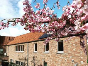 Un árbol con flores rosas frente a un edificio de ladrillo. en Kirisavan Bed&Breakfast, en Borgloon