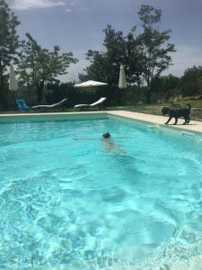 Pizzicalaluna Agriturismo Olistico sulle Colline di Pianoro内部或周边的泳池