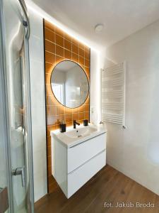 Toszek的住宿－Apartamenty Toszeckie，浴室设有白色水槽和镜子