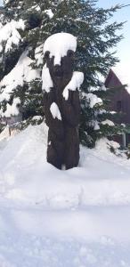 PENZION HARRY na sjezdovce KRKONOŠE talvel