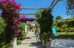 a garden with pink flowers and a pergola at Hotel Al Mulino in Anacapri