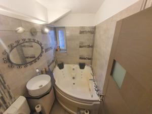 a bathroom with a toilet and a sink and a mirror at Comfort Home Apartment 1 in Petroşani