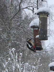 a bird feeder is covered in snow at Hungarton Bed & Breakfast in Hungerton