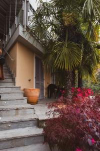 a staircase leading to a house with a palm tree at La Corte sul Naviglio in Boffalora sopra Ticino