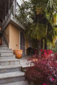 een trap naar een huis met een palmboom bij La Corte sul Naviglio in Boffalora sopra Ticino