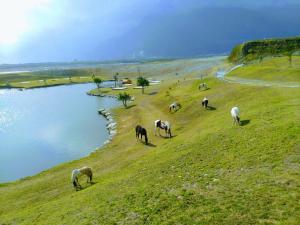 Fotografie z fotogalerie ubytování 崇霖覓境-花蓮崇德瑩農場 v destinaci Chongde