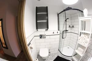 a bathroom with a shower and a toilet at APARTAMENT CENTRUM OLSZTYNA in Olsztyn