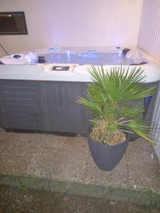 a bathroom with a tub and a potted plant at Khaki Campbell in Ermelo