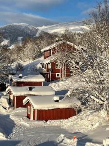 un gruppo di edifici ricoperti di neve di Karolinen Stugor & Lägenheter a Åre