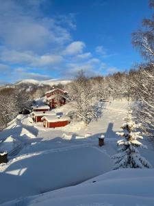 Gallery image of Karolinen Stugor & Lägenheter in Åre