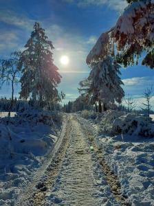 una carretera cubierta de nieve con árboles y el sol en el fondo en Aux Capucines, en Theux