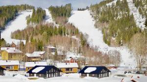 Jarvso House. Ski In / Ski Out. im Winter