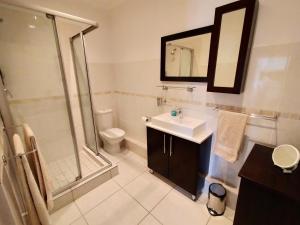 a bathroom with a sink and a shower and a toilet at Admiral's Waterfall Self-Catering in Simonʼs Town