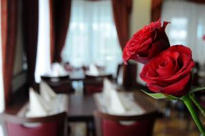 Fotografie z fotogalerie ubytování Hotel Dei Platani v Rimini