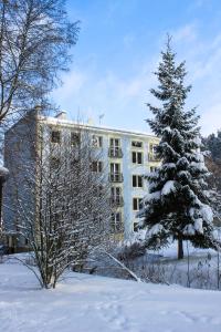 un árbol cubierto de nieve frente a un edificio en Pensjonat 4 Pory roku en Duszniki Zdrój