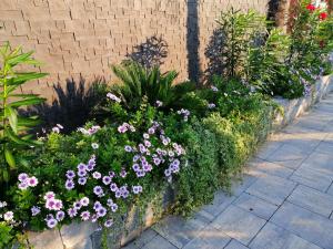 un jardín con flores púrpuras y plantas junto a una pared de ladrillo en Villas A & N, en Zaton