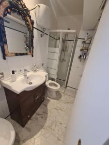 トッレ・アンヌンツィアータにあるLa Casa di Marcelloのバスルーム(洗面台、トイレ、シャワー付)