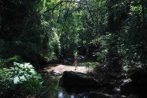 una persona parada en un arroyo en un bosque en Rio Perdido Hotel & Thermal River, en Fortuna