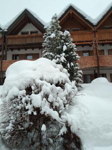 a snow covered christmas tree in front of a house at Appartamenti Bazzanella in Andalo