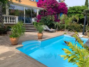 a swimming pool in front of a house with plants at chez Muriel et Yves in La Londe-les-Maures