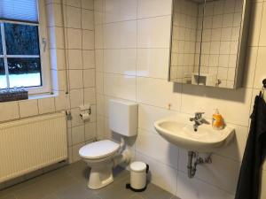 a bathroom with a toilet and a sink at Ferienwohnung Jasmin in Haiger