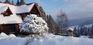 Domek na Obidzy trong mùa đông
