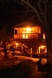 a tree house lit up at night with lights at 5th Seasons Guesthouse in Nelspruit