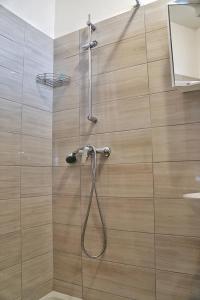 a shower with a shower head in a bathroom at Apartmani Vesna in Zambratija