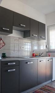 a kitchen with stainless steel cabinets and a sink at Apartmani Vesna in Zambratija