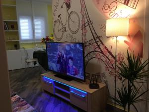 Televízia a/alebo spoločenská miestnosť v ubytovaní B&B Paris