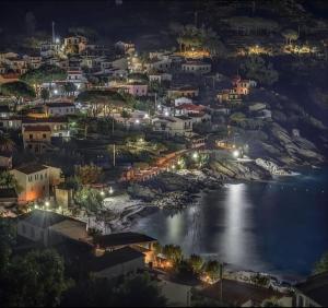 a view of a town at night with the water at Da Elisa in Chiessi