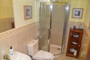 a bathroom with a shower and a toilet and a sink at Apartamento en Casco Histórico in San Sebastián de la Gomera