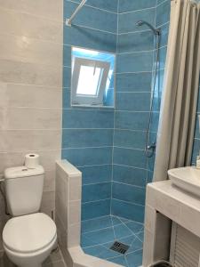 チョロノモスクにあるGuest House Shafranの青いタイル張りのバスルーム(トイレ、シャワー付)