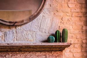 a wall with a mirror and a cactus on a shelf at Cà Fenice Design in Venice