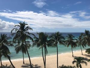 a group of palm trees on a beach with the ocean at Coconut Court Beach Hotel in Bridgetown