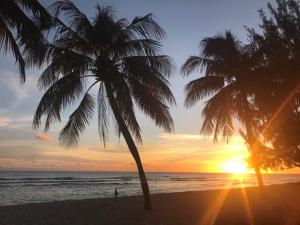 two palm trees on a beach at sunset at Coconut Court Beach Hotel in Bridgetown