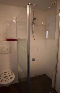 a bathroom with a shower and a toilet at De Lindehoeve Appartement de Pompestraat in Vledder +6 photos