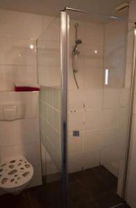 een badkamer met een douche en een toilet bij De Lindehoeve Appartement de Pompestraat in Vledder