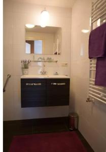 een badkamer met een wastafel, een spiegel en paarse handdoeken bij De Lindehoeve Appartement de Pompestraat in Vledder