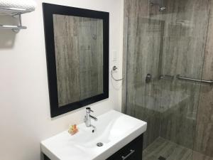 a bathroom with a sink and a shower with a mirror at Coconut Court Beach Hotel in Bridgetown