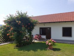 Vonkajšia záhrada v ubytovaní Apartment Petra i Nikola