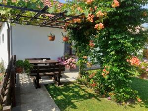 Vonkajšia záhrada v ubytovaní Apartment Petra i Nikola
