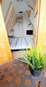 Postel nebo postele na pokoji v ubytování Villa Mila + 14 fotografií