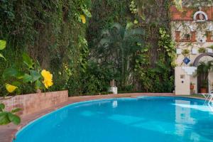 a swimming pool in front of a wall of plants at Los Arcos Suites in Puerto Vallarta +18 photos
