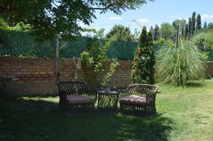 two chairs and a table in a yard at LAS FRITES' HOUSE- Casa con pileta en zona de bodegas y olivicolas in Maipú