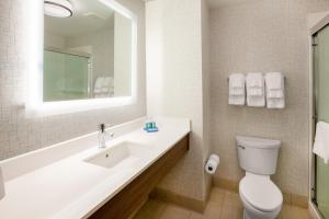 a bathroom with a sink and a toilet and a mirror at Holiday Inn Express Hotel & Suites Albany, an IHG Hotel in Albany