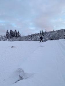 a person is standing in the snow at Tuddal Hyttegrend, GAMLESTUGU, Telemark in Tuddal