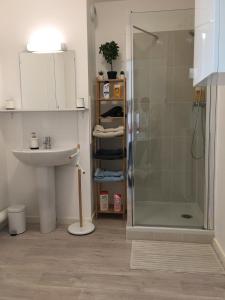 a bathroom with a shower and a sink and a sink at HOUSE COSY ONE in Gonesse